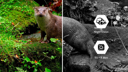 Smartfon Hammer Construction 2 5G 6/128GB Military Edition